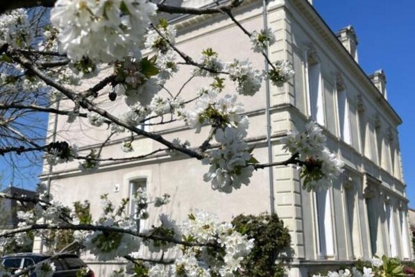 Miscellaneous - House of Mailly - Charming bed and breakfast in the heart of Vienne (Châtellerault)