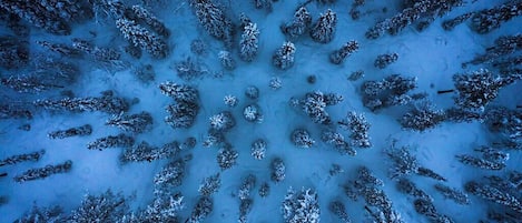 An aerial view of a snow-covered forest with dense tree coverage.