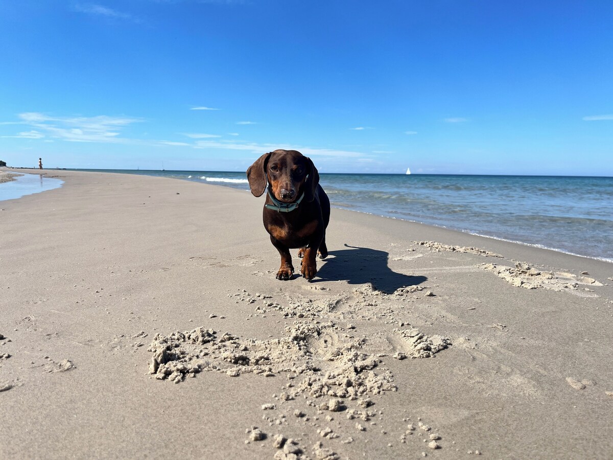 Image de profil de l’hôte