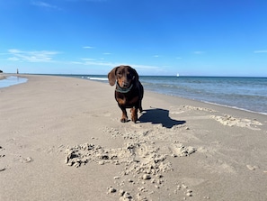 Playa