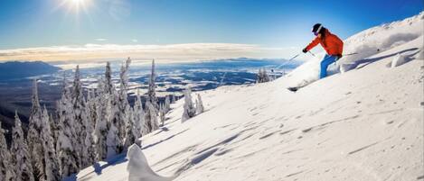Snow and ski sports