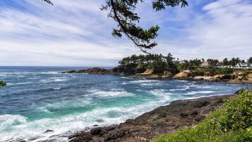 A coastal landscape with rocky terrain, ocean waves, and a line of trees and buildings in the background.