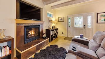 Télévision, cheminée, jeux vidéo, lecteur de DVD