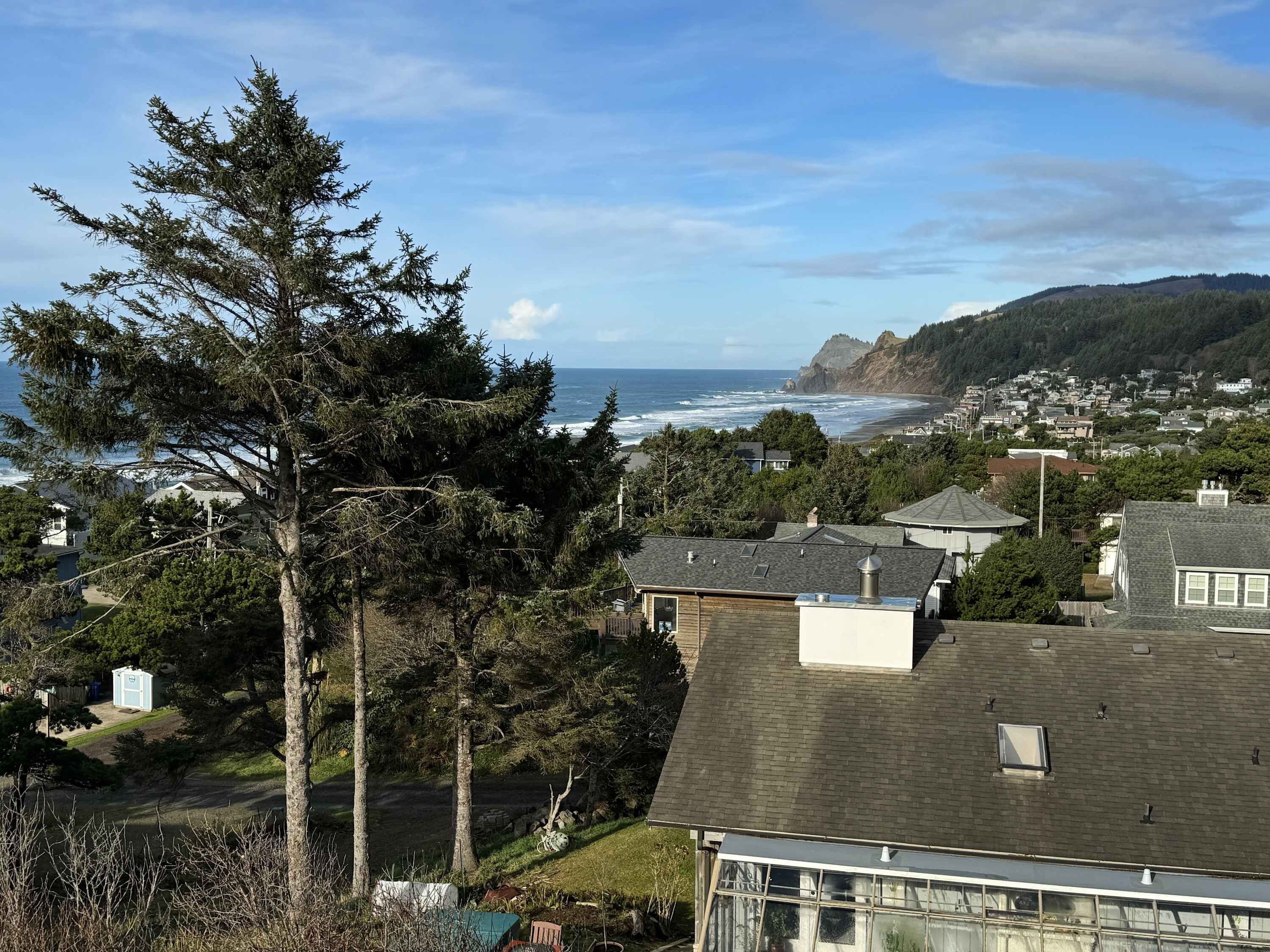 A residential area with houses, a large tree, and a view of the ocean.