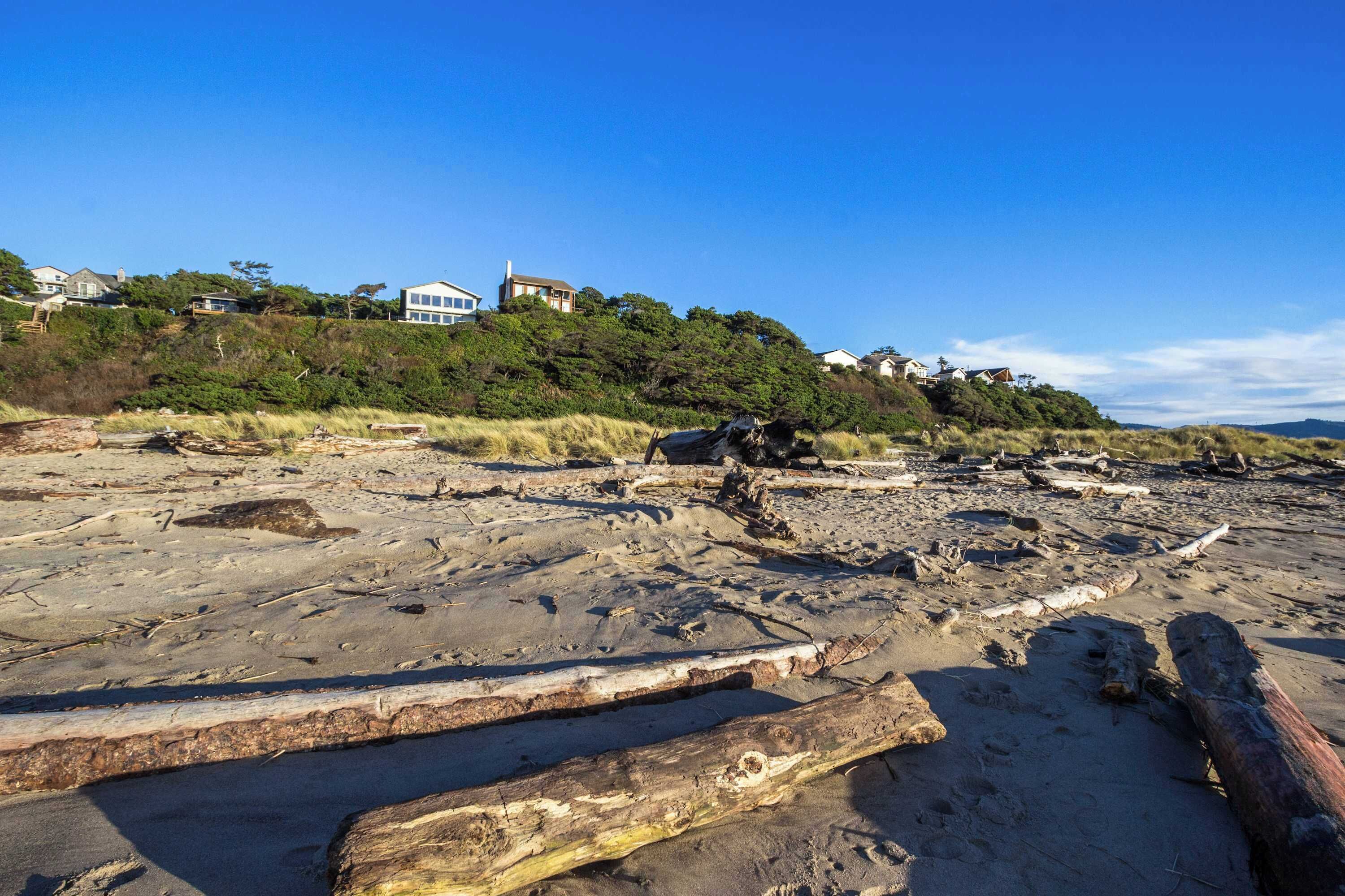A rocky beach with driftwood and a view of houses on a hill.