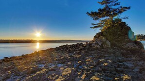 Un rivage rocheux, avec un arbre isolé et une étendue d’eau calme sous un ciel dégagé.