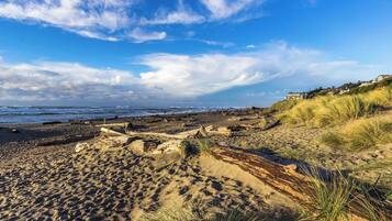 Una playa cerca