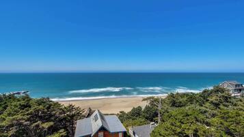 A coastal property with a beach view, surrounded by dense forest.