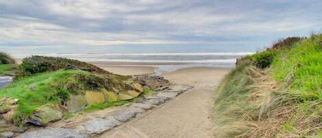 A coastal pathway leading to a beach with a rocky and grassy border.