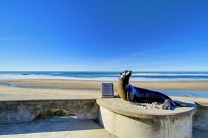 Playa en los alrededores
