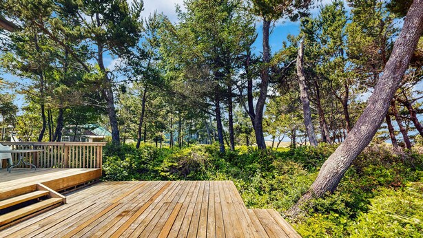 A wooden deck with steps leading to a seating area, surrounded by dense greenery and trees. - Waterfront house with bay and ocean views large deck and quiet location (Lincoln City)