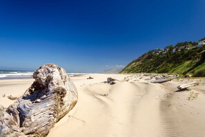 Une plage de sable avec des morceaux de bois flotté et des maisons sur une colline.
