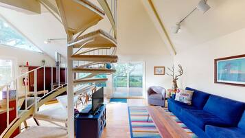 Télévision, cheminée, lecteur de DVD, espaces bureaux