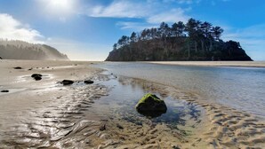 Una spiaggia con acque cristalline, una riva sabbiosa e un'isola boscosa sullo sfondo.