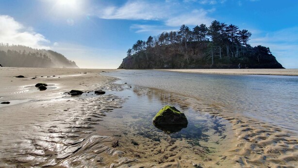 A beach with clear water, a sandy shore, and a forested island in the background.