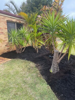 A garden with palm trees and a brick building. - Luxury Retreat with Swim Spa, Outdoor Bar, 4 Bedrooms 2 Bathrooms! (Canning Vale)