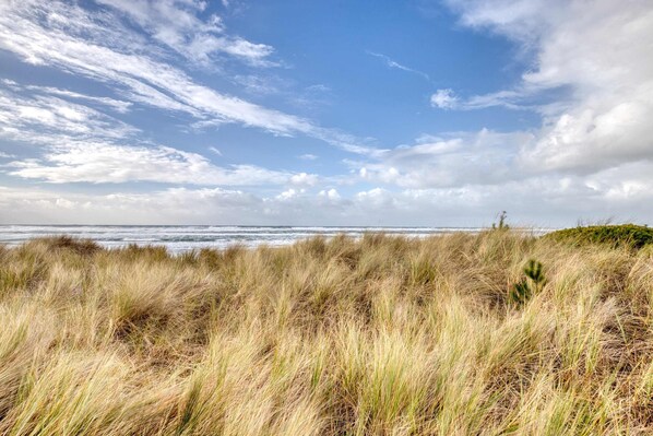 A coastal landscape with dunes and a lighthouse in the distance. - Beachfront home with amazing ocean views entertainment space and balcony (Cloverdale)