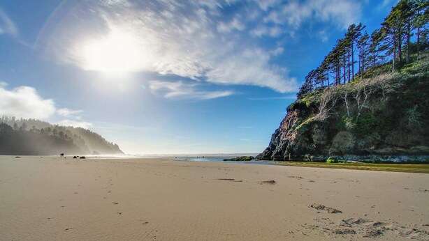 A wide sandy beach with footprints, a clear sky, and a forested cliff. - Dog-Friendly Beach Cottage in Peaceful Neskowin (Neskowin)