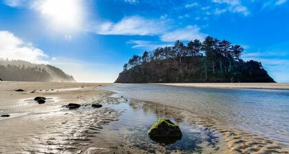 Modern and Colorful Dog Friendly Condo Right Next to Beach