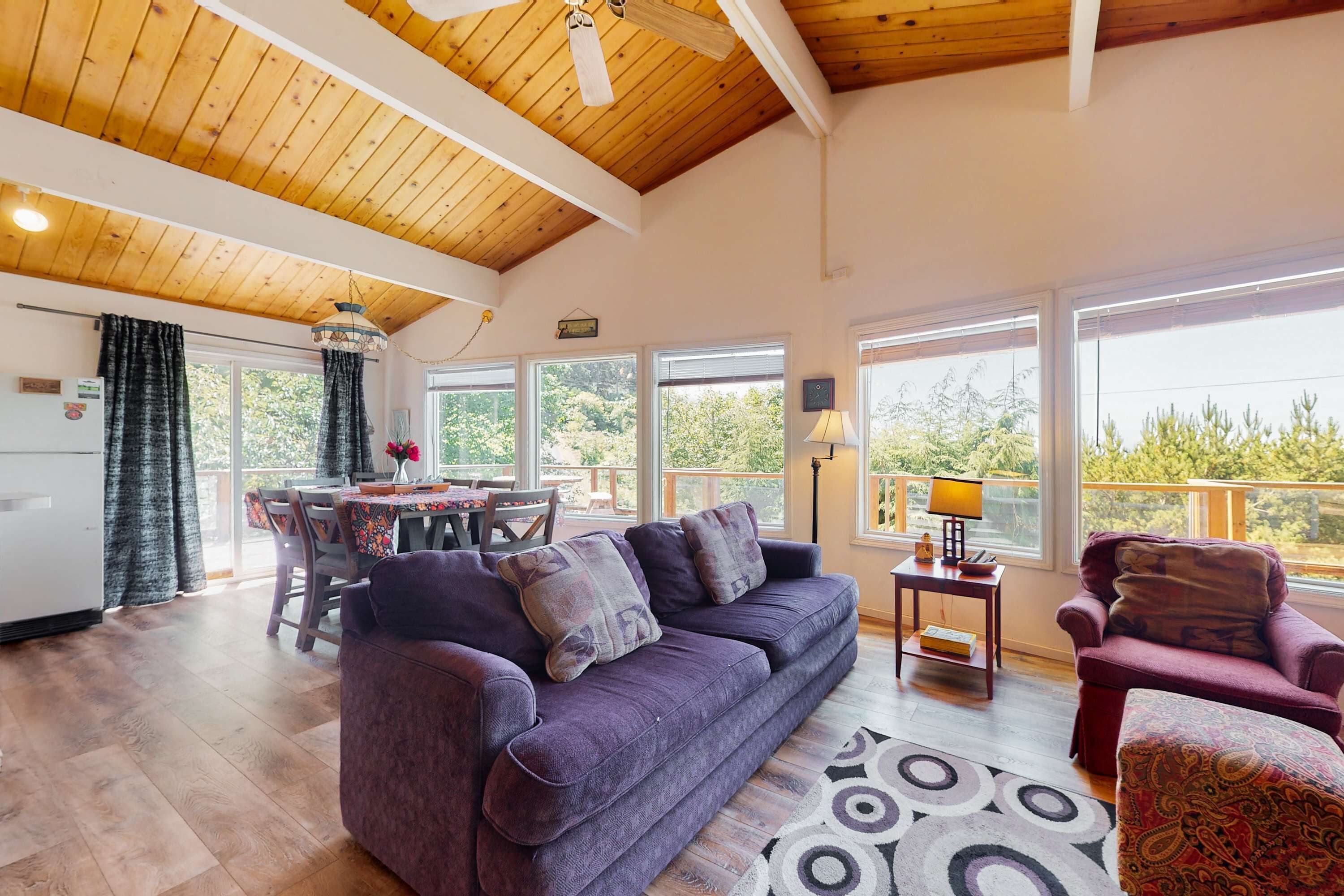 Televisio, takka, videopelejä, DVD-soitin