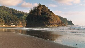 A beach with a forested hill in the background. - Oceanfront 2nd floor condo with river ocean views balcony (Neskowin)