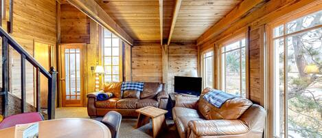 TV, fireplace, offices