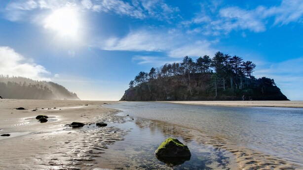 Ein Strand mit klarem Wasser, sandigem Ufer und einer bewaldeten Insel im Hintergrund.