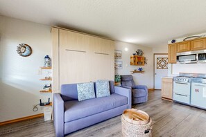 TV, DVD player - Beachfront dog friendly studio with amazing Proposal Rock view steps to the sand (Neskowin)