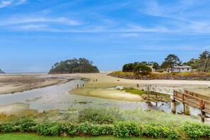 On the beach - Studio with ocean views wifi washer dryer and gas fireplace (Neskowin)