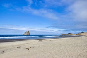 Beach nearby - Designer home with stunning ocean and sunset views steps to beach dog friendly (Pacific City)