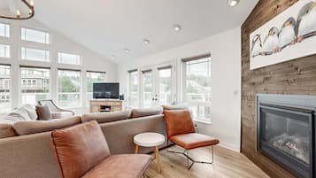 TV, fireplace, video games, offices
