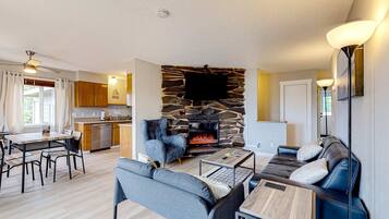 Télévision, cheminée, lecteur de DVD, espaces bureaux