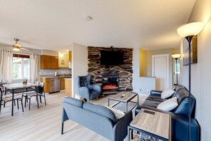 Télévision, cheminée, lecteur de DVD, espaces bureaux