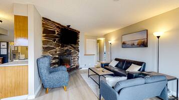 Télévision, cheminée, lecteur de DVD, espaces bureaux