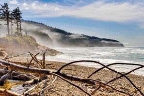 Beach - Cozy cabin with fireplace and WiFi fishing and boats welcome dog friendly (Netarts)