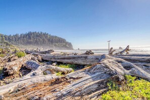 A beach with driftwood, a flag, and a forested cliff. - Dog friendly house near beach with hot tub fireplace enclosed yard full kitchen (Cape Meares)
