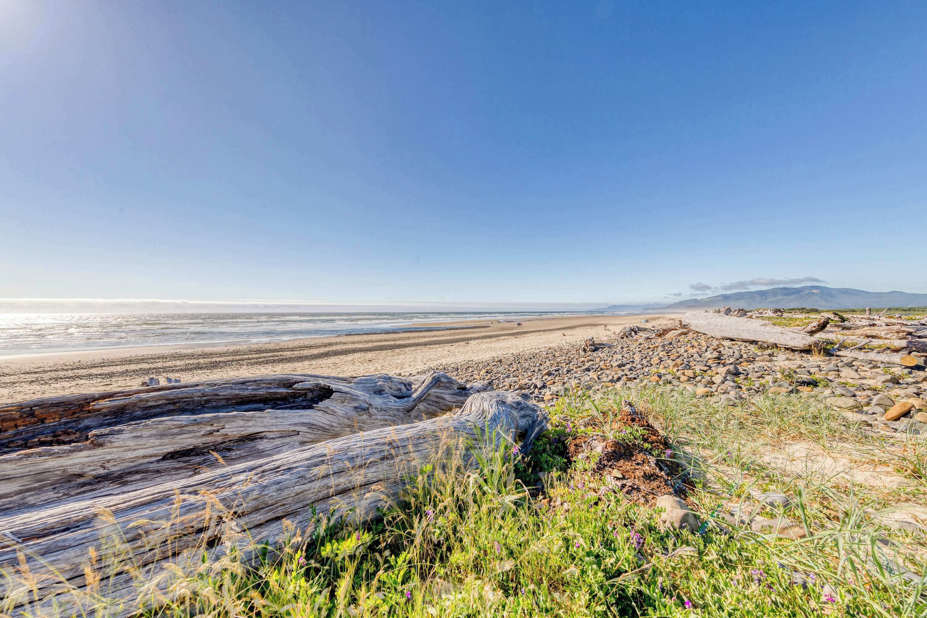 Una playa con un tronco grande de madera a la vista, una costa rocosa y un cielo despejado.