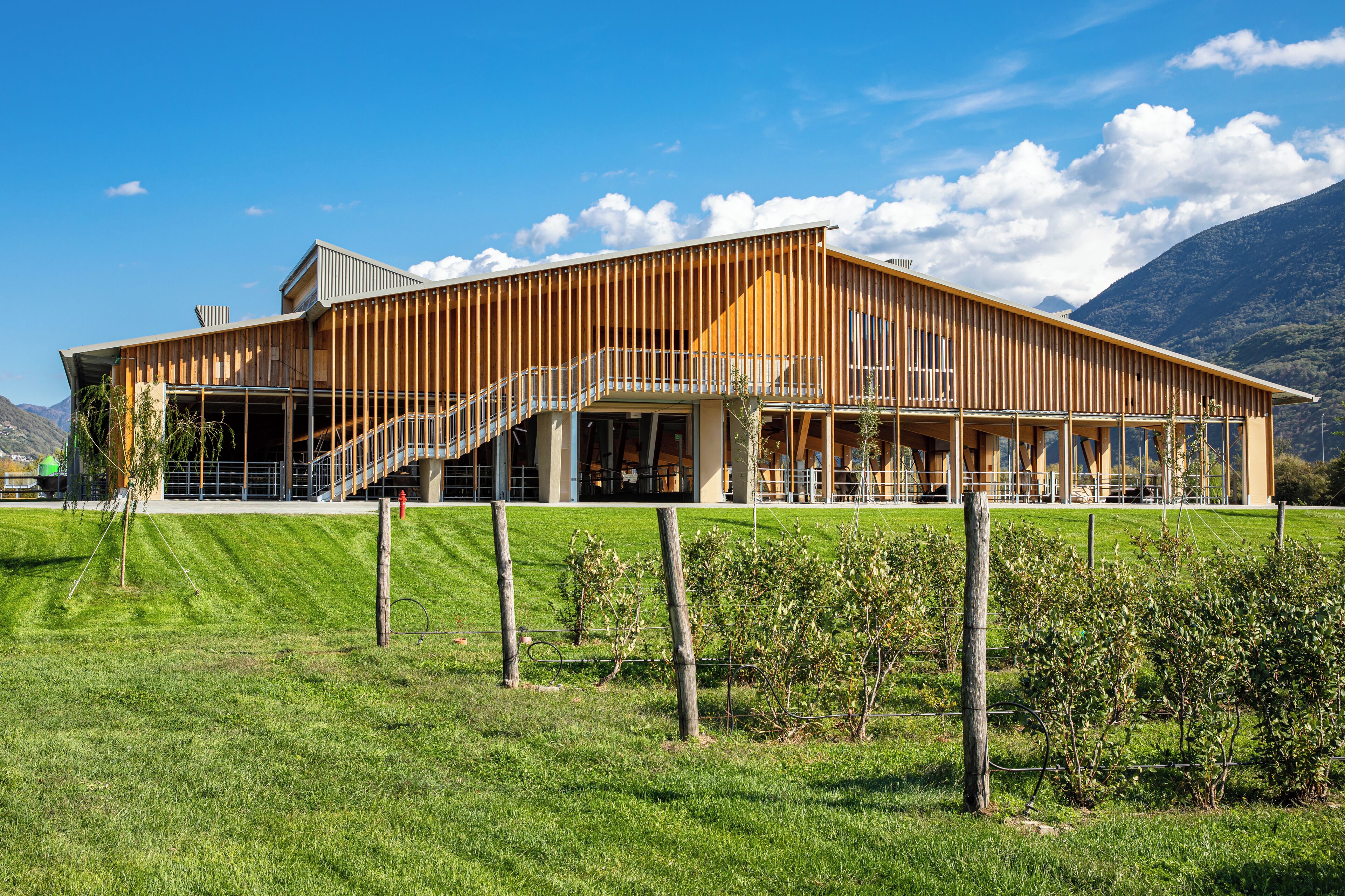 Enceinte de l’hébergement