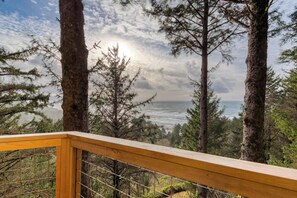 Property grounds - House near the beach with ocean views wood stove and telescope (Oceanside)