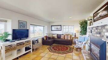 Televisión, chimenea y reproductor de DVD