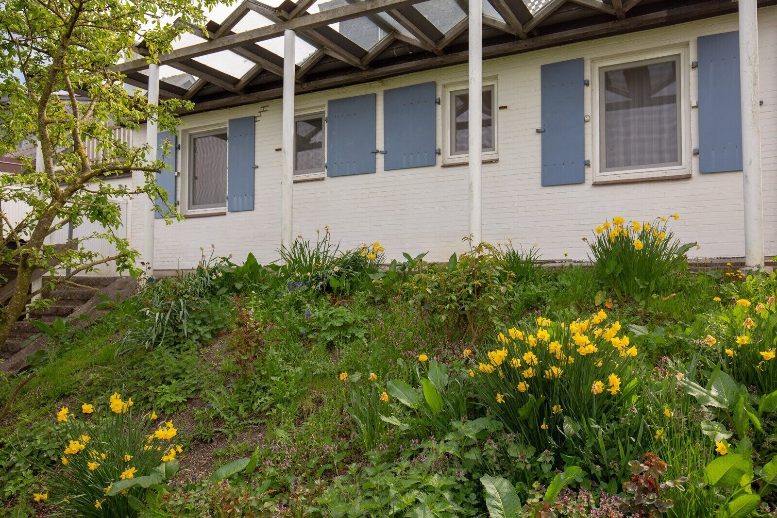 Ein weißes Gebäude mit blauen Fensterläden, ein Garten mit gelben Blumen und eine Holz-Pergola.