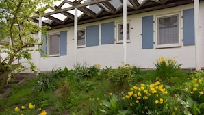 A white building with blue shutters, a covered porch, and a garden with yellow flowers. - Wattenläuper Holiday Apartment (Pellworm)