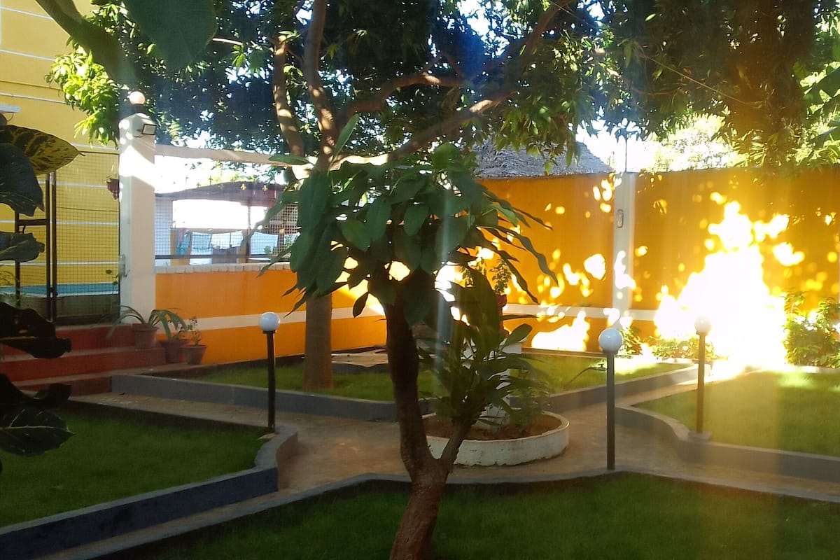 Garden view