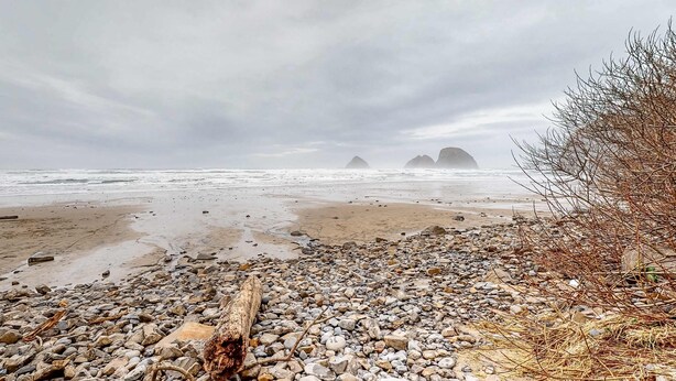 Une plage de galets parsemée de bois flotté et d’algues, avec, au loin, des formations rocheuses sous un ciel nuageux.