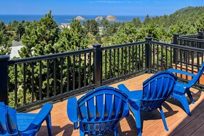 Property grounds - Sweeping ocean view home with fireplace grill and foosball table dog friendly (Oceanside)