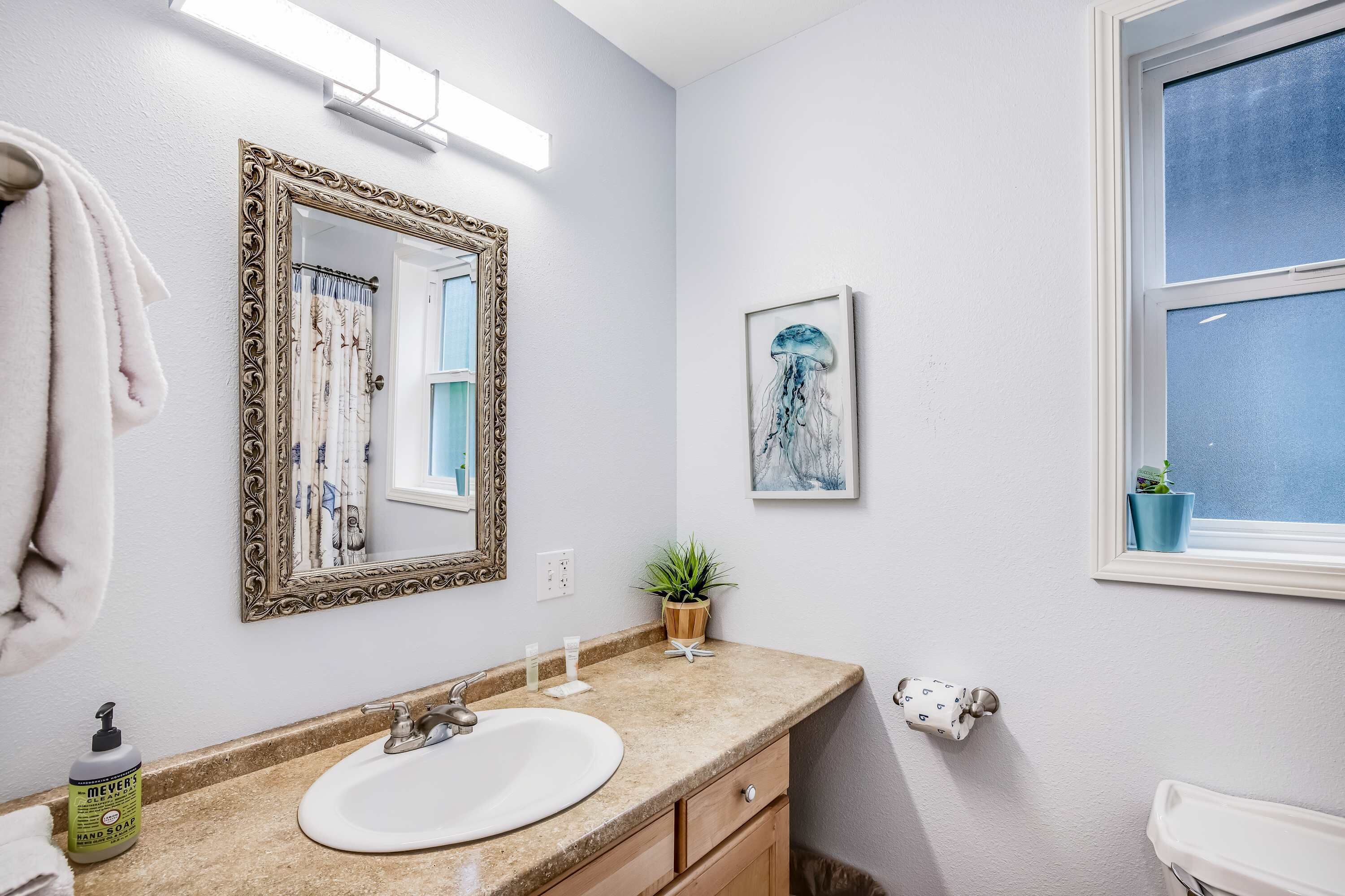 A bathroom with a white sink, a mirror with an ornate frame, a potted plant, and a window with a view.