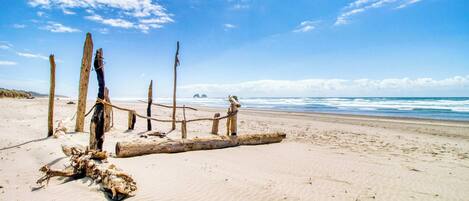 Ein Sandstrand mit Holzpfählen und Treibholz.