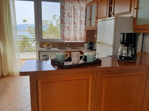 A kitchen with wooden cabinets, a refrigerator, a coffee maker, and a window with a view of trees and mountains.