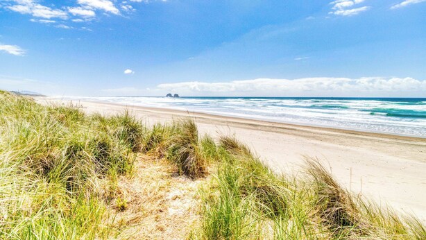 A beach with sand dunes and ocean waves. - Classy Dog Friendly Studio with Free WiFi and Cable Walk to the Beach (Rockaway Beach)