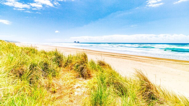 A beach with sand, grass, and the ocean. - Dog Friendly Room with Kitchen Located Near the Beach and Downtown (Rockaway Beach)
